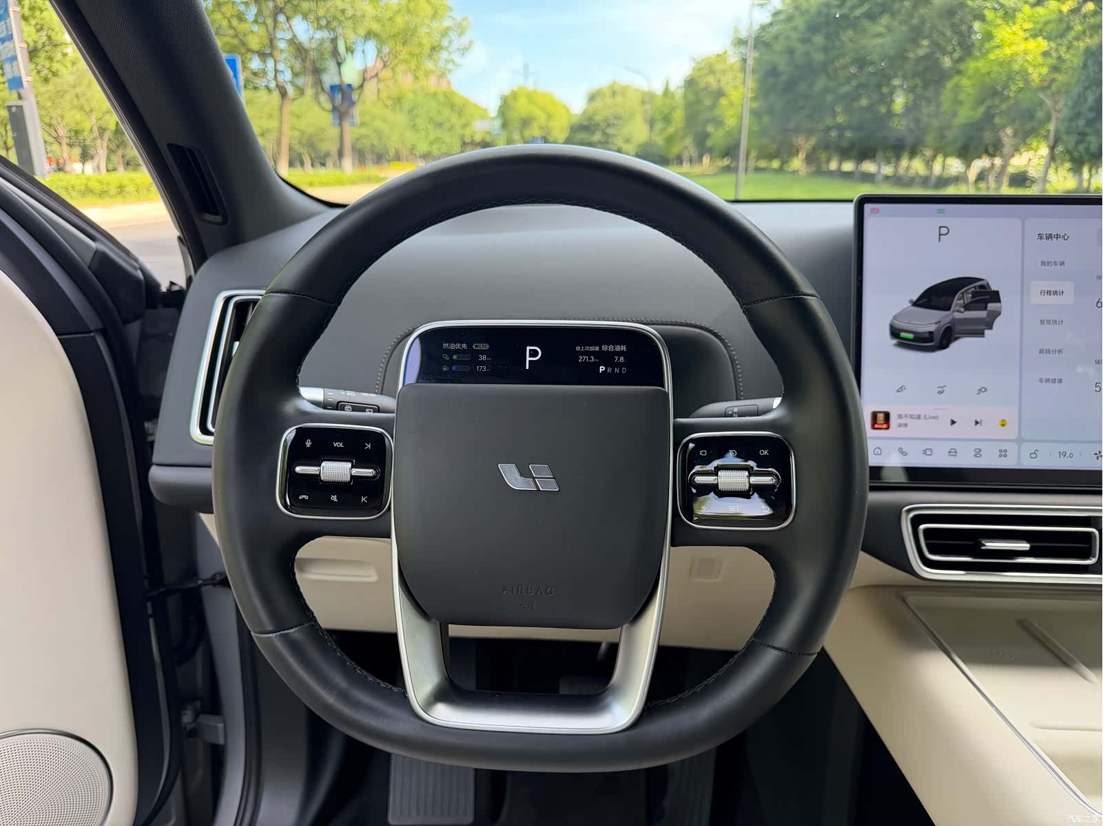 Li Auto L9, 2023 14