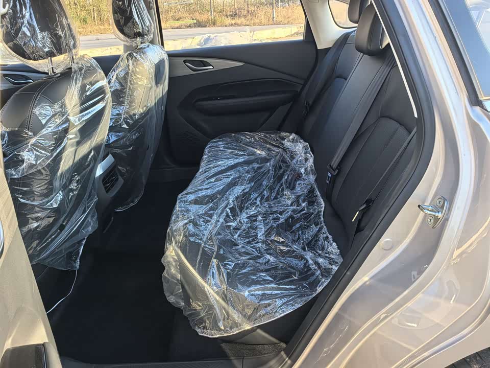 Wuling Wuling Starlight