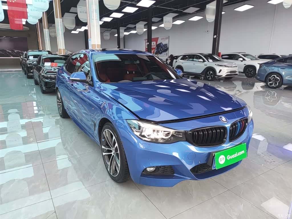 BMW 3 Series, 2017 4