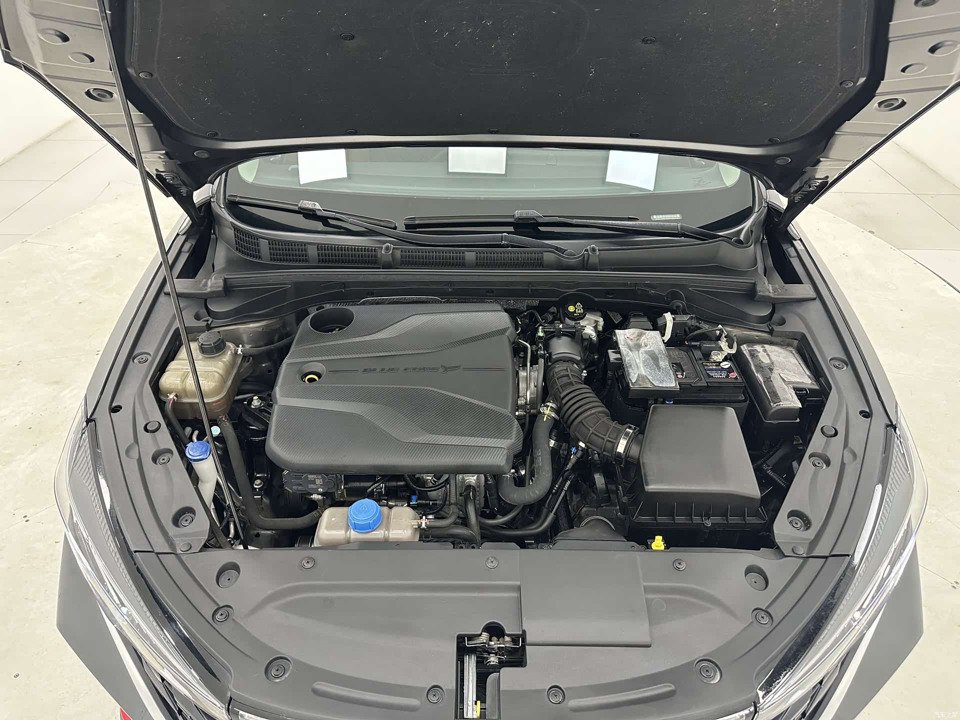 Changan Eado, 2022 17