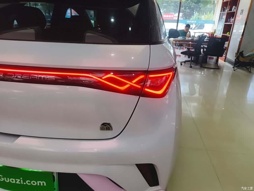 BYD Dolphin, 2022 8