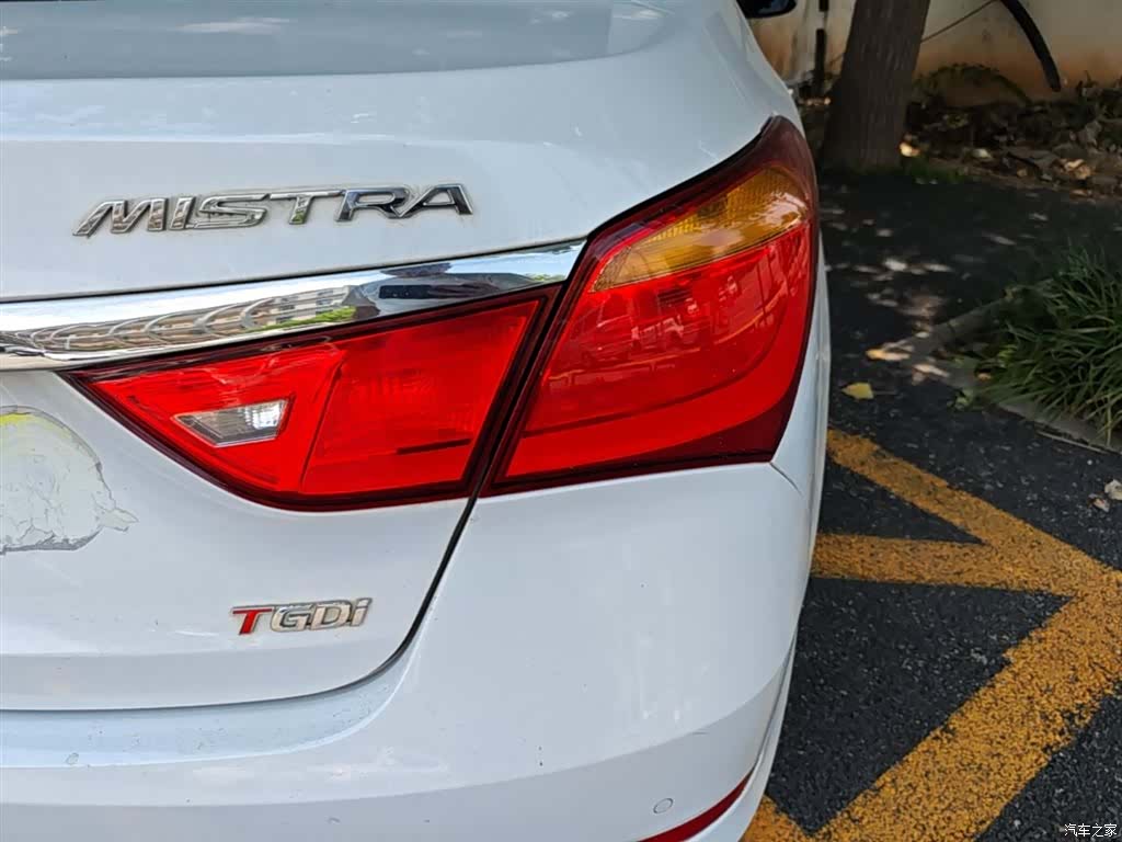 Hyundai GLS, 2017 8