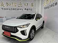 �������� 2022�� ������ 1.5T ��ͭ��