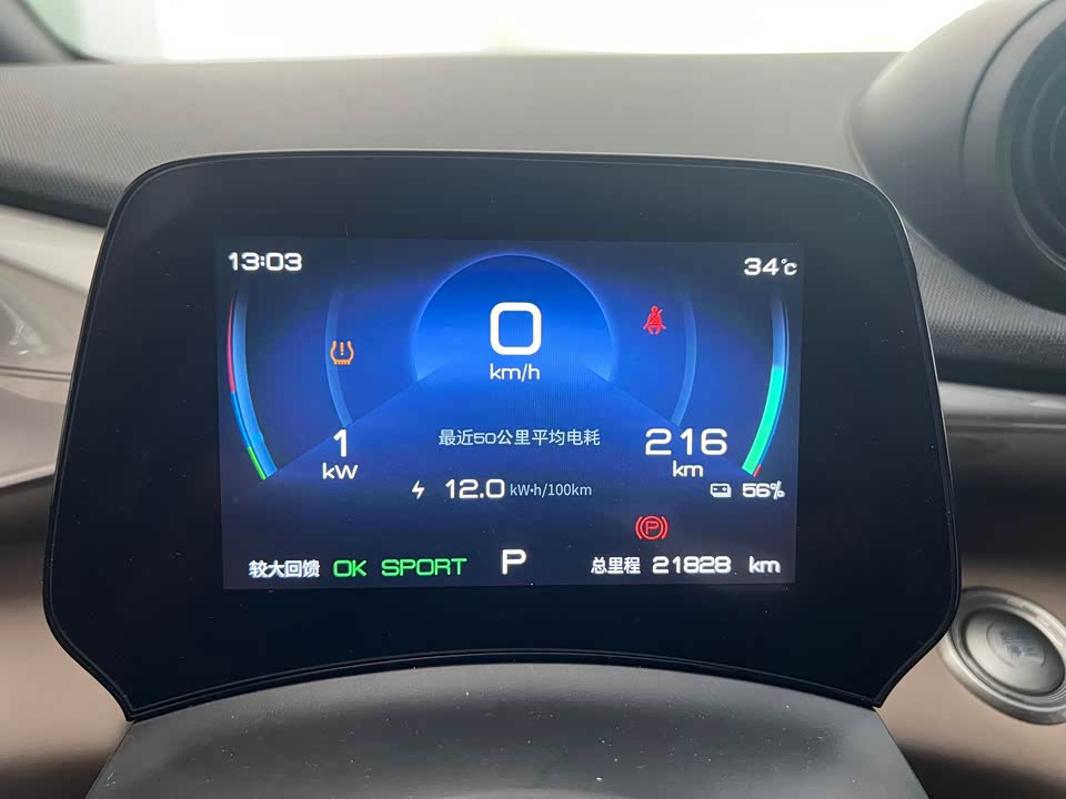 BYD dolphin