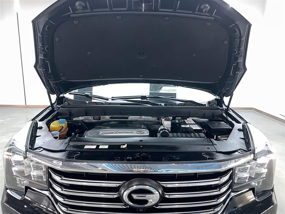 Trumpchi Trumpchi GS8