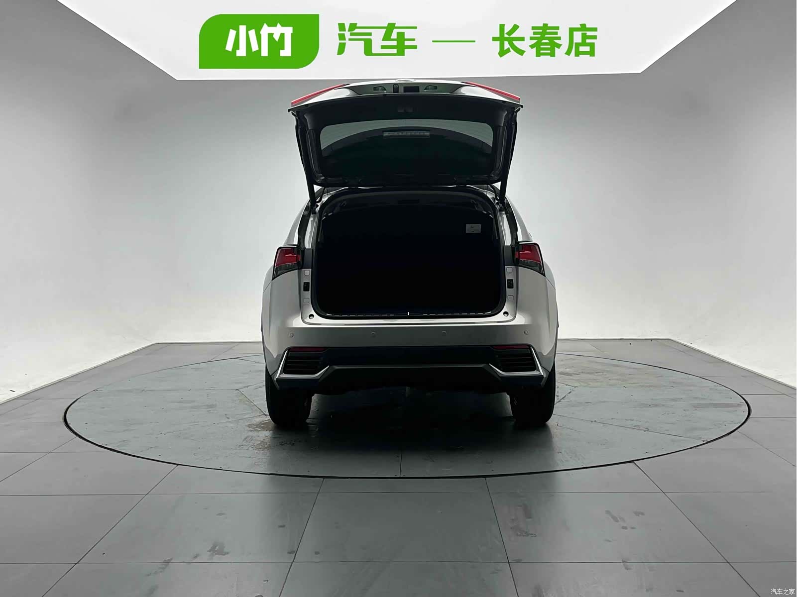 Lexus NX, 2021 все фото