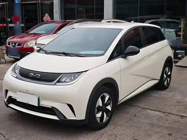 BYD Dolphin 2025 — купить из Китая под заказ