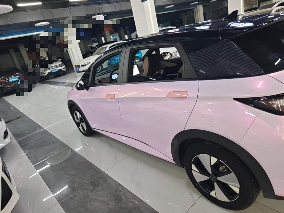 BYD dolphin