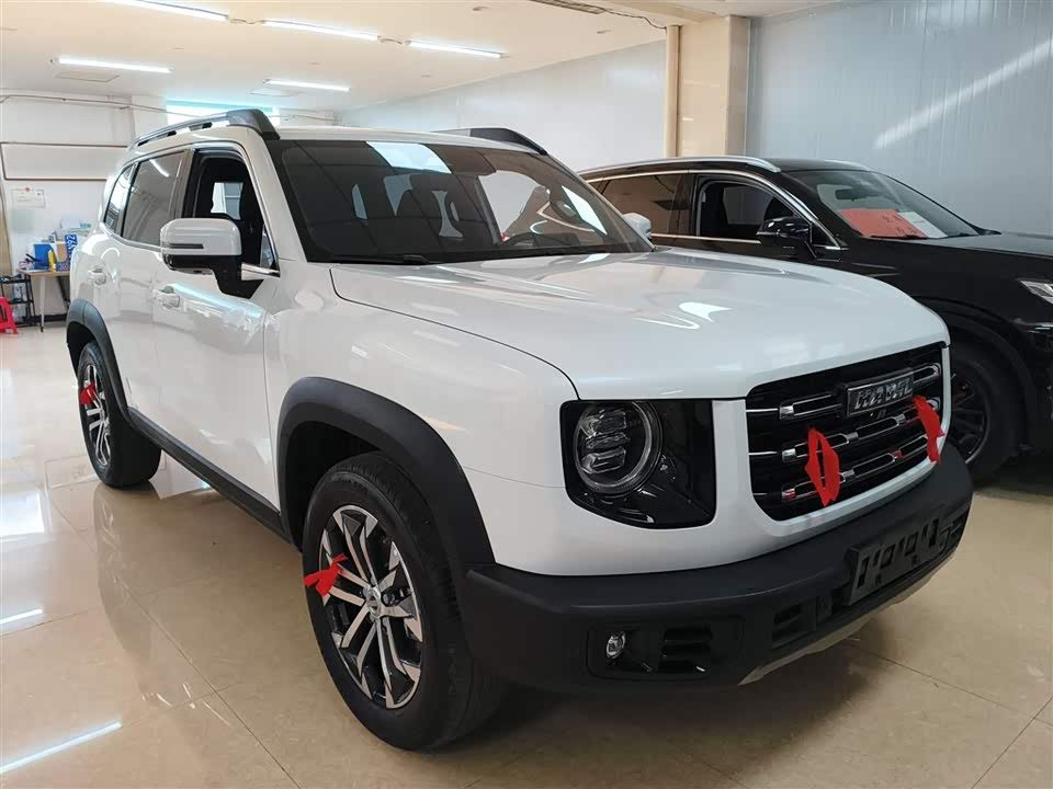 Haval Big dog