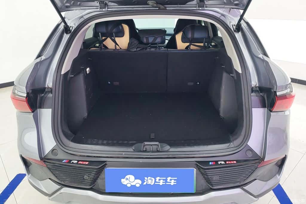 BYD еЕГPLUS, 2022 4