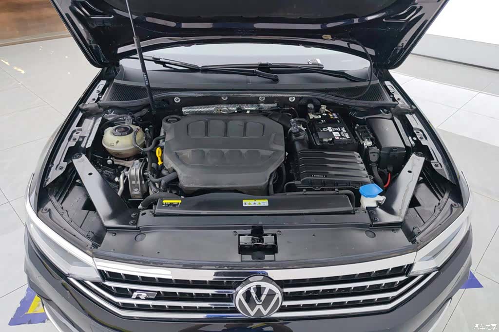 Volkswagen Magotan, 2024 10