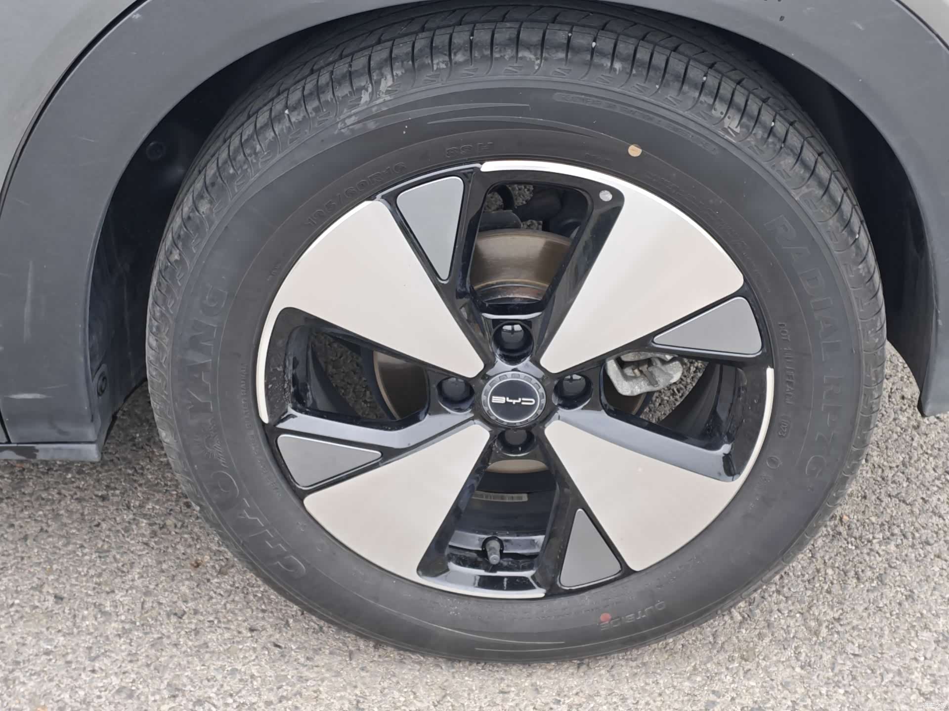 BYD Dolphin, 2023 12