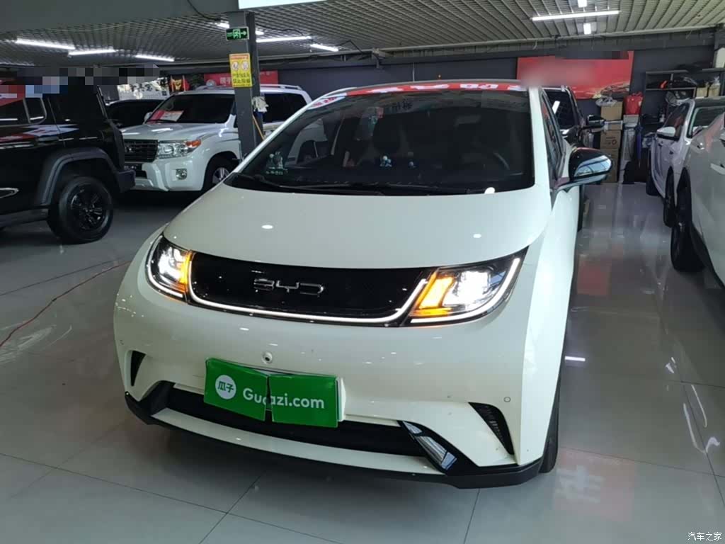 BYD Dolphin, 2024 3
