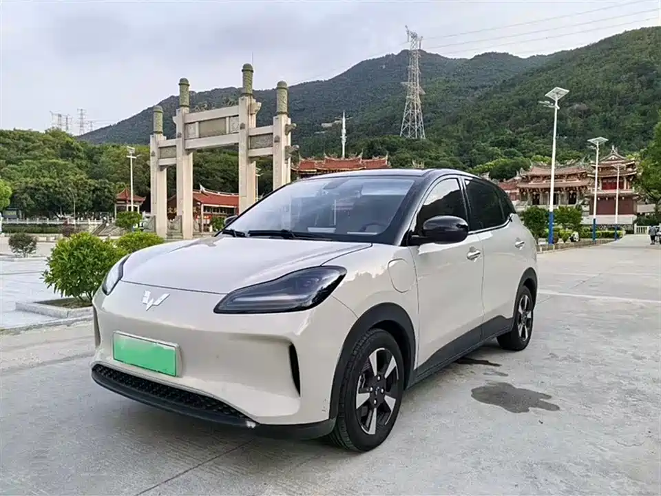 Wuling Wuling Bingguo PLUS
