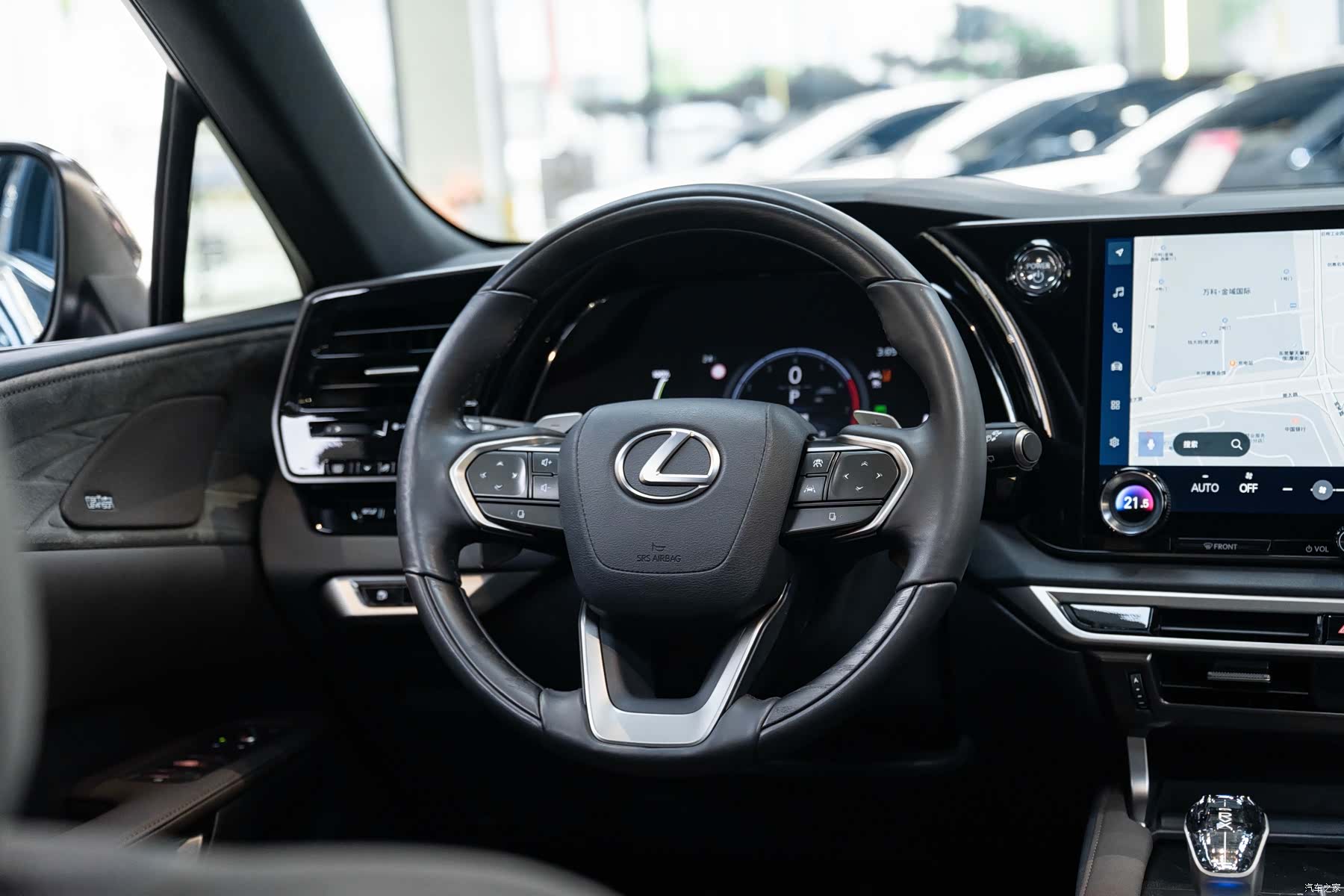 Lexus RX, 2023 14