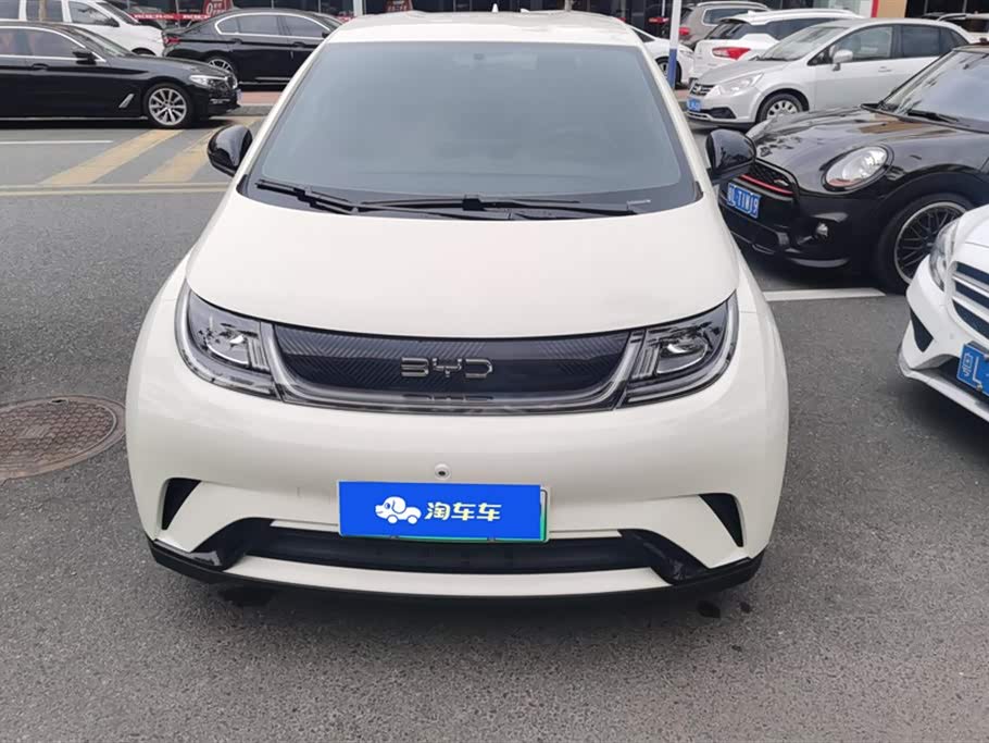 BYD dolphin