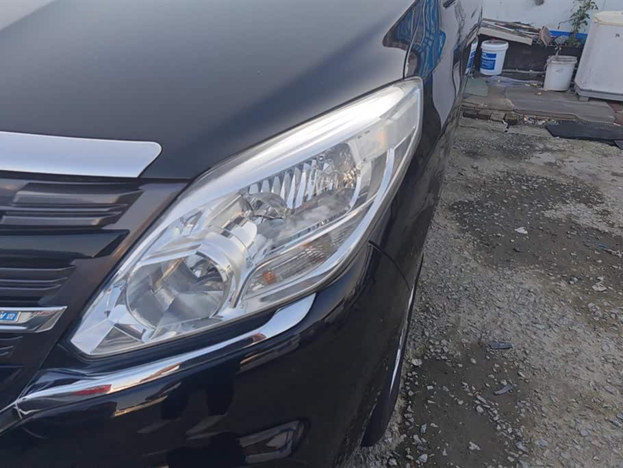 Forthing Lingzhi PLUS