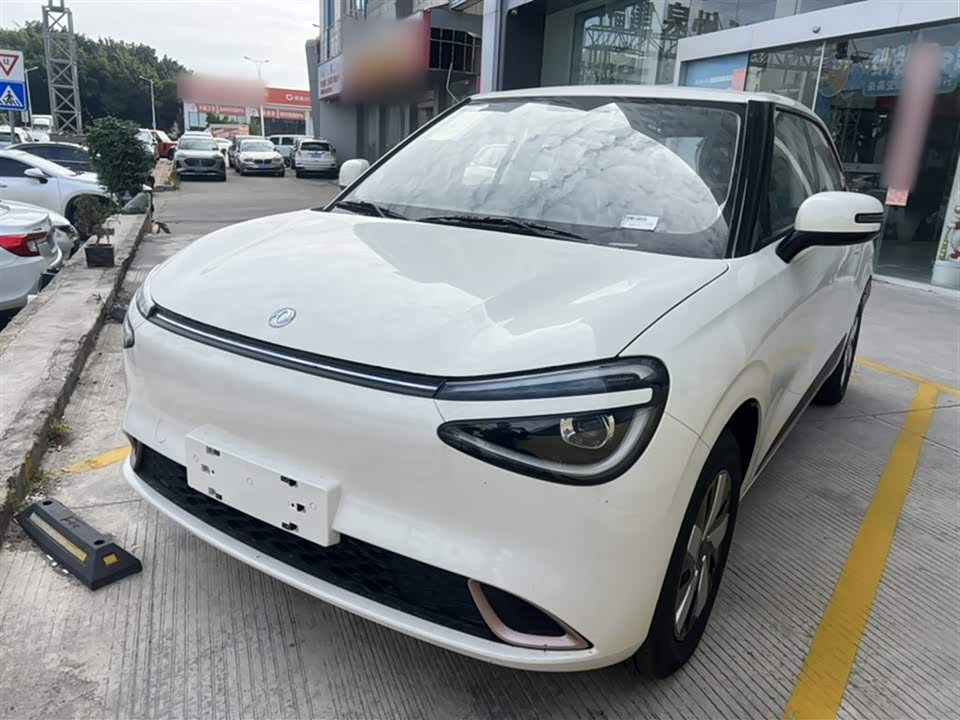 Dongfeng Nammi Nano 01