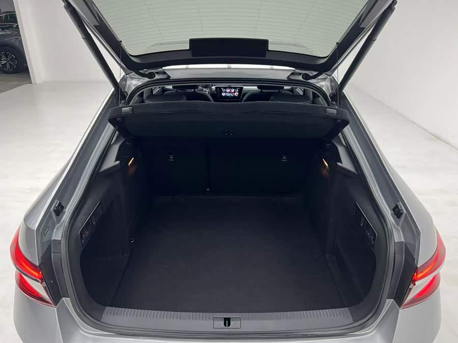 Škoda Speed pie 2023, фото 12