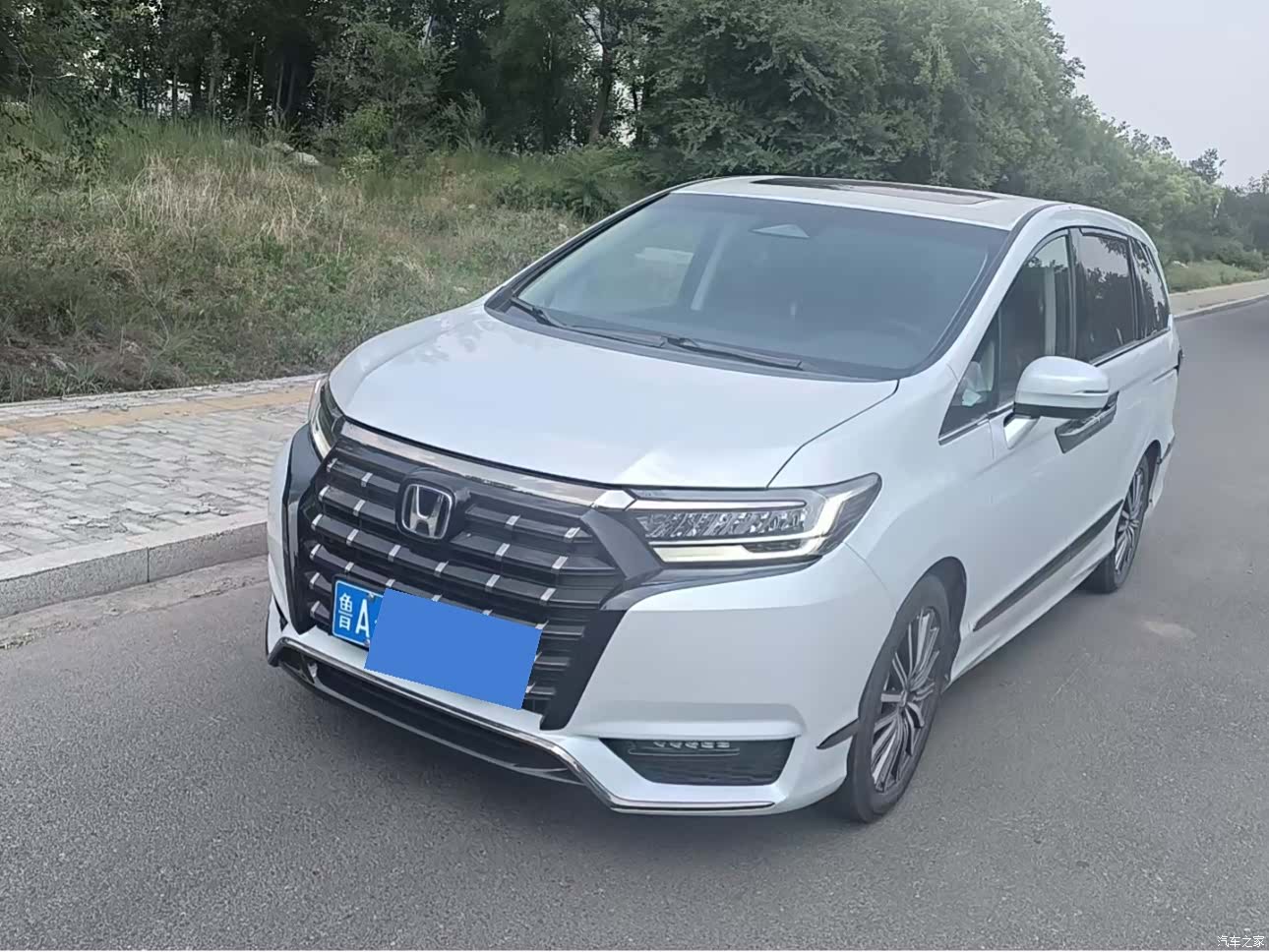 Honda Elysion, 2024 1