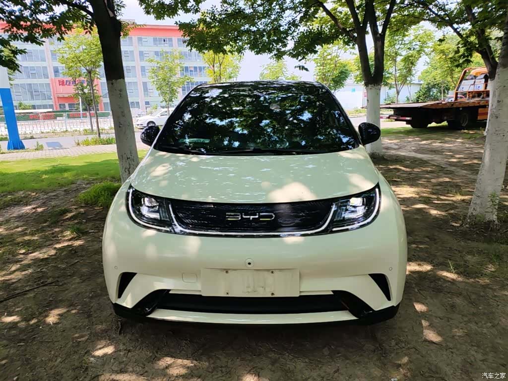 BYD Dolphin, 2023 3