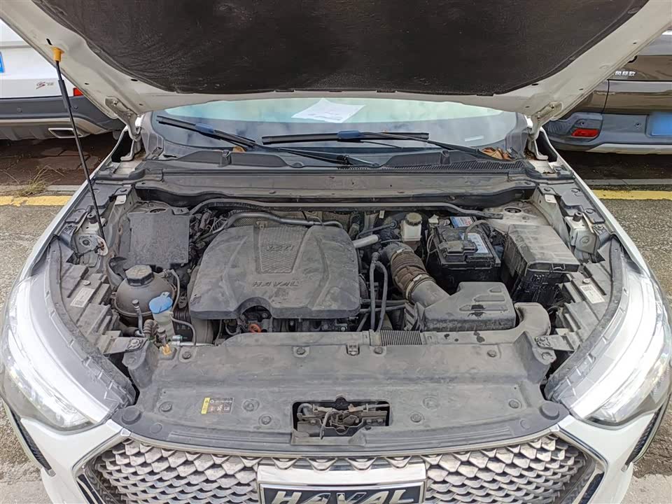 Haval First love Haval First love