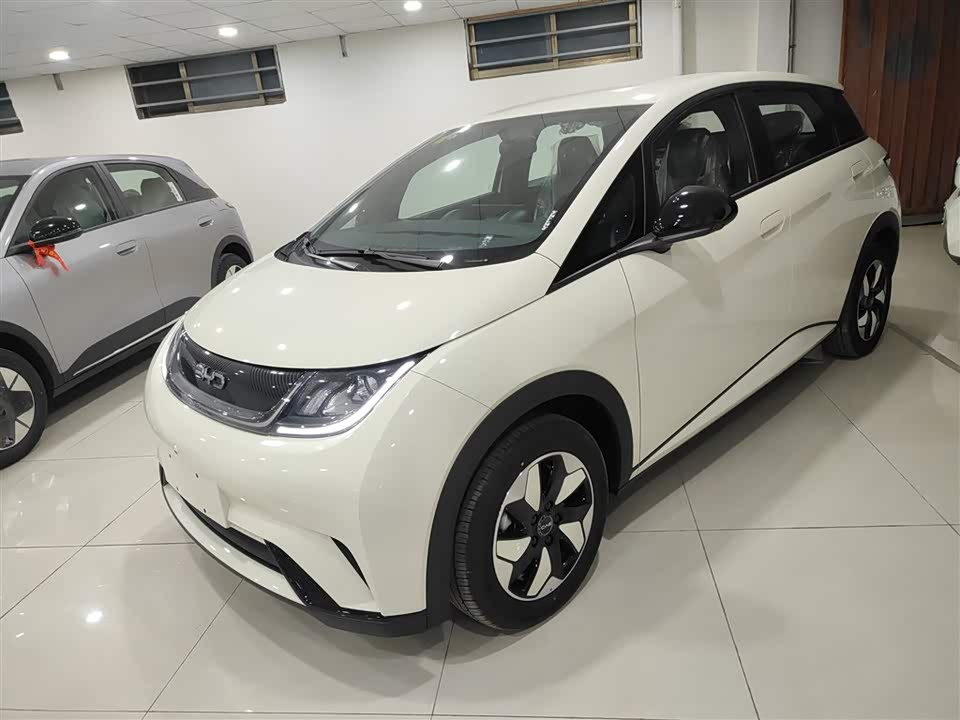 BYD dolphin