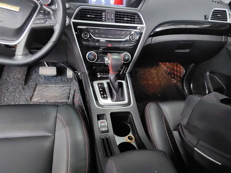 Leopaard Cheetah CS10