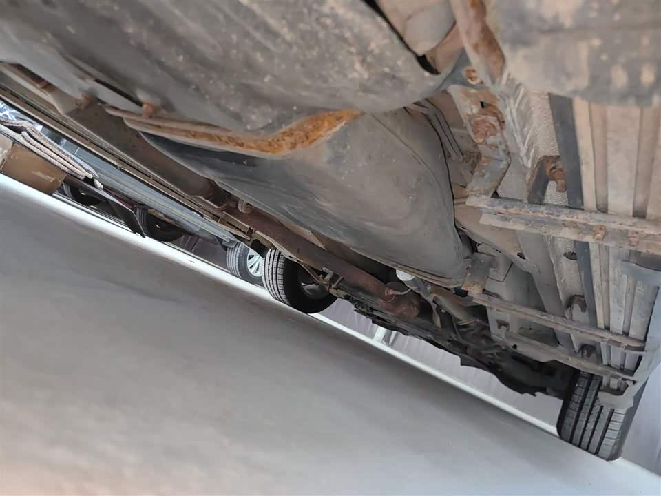 Leopaard Cheetah CS10