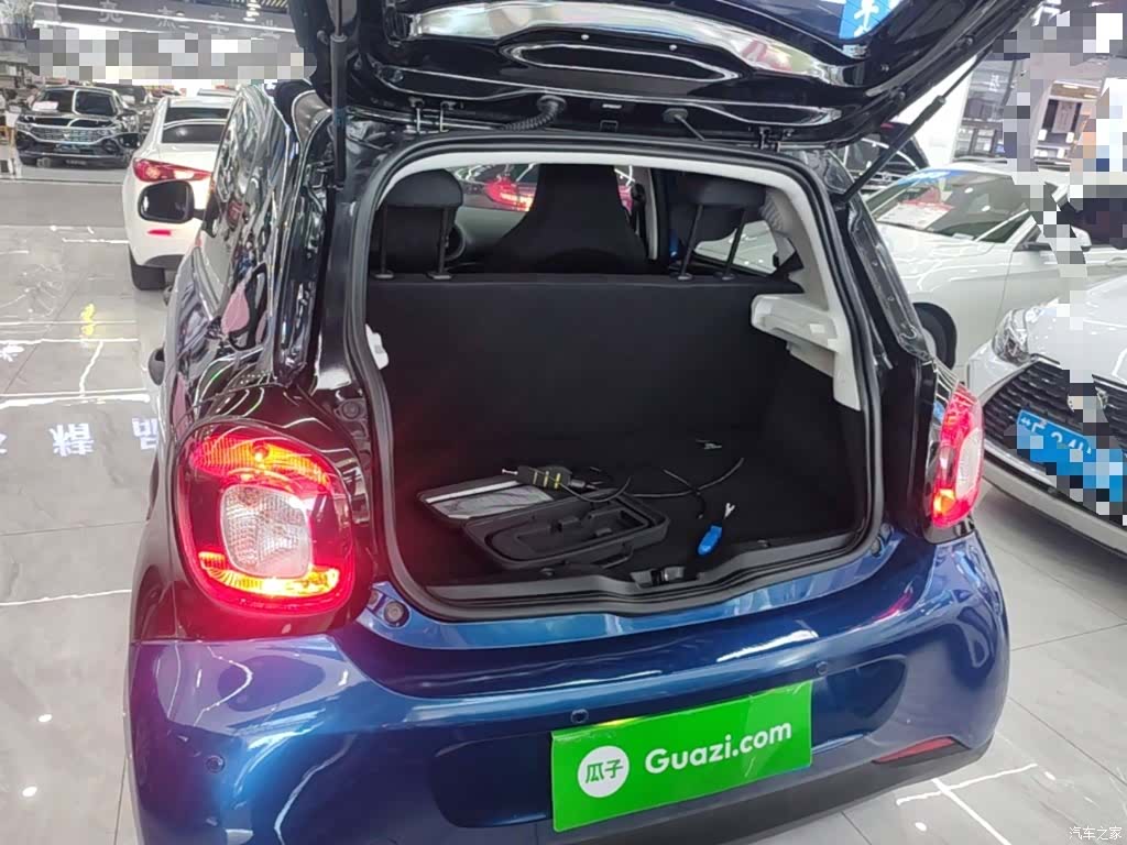 Smart Forfour, 2019 19