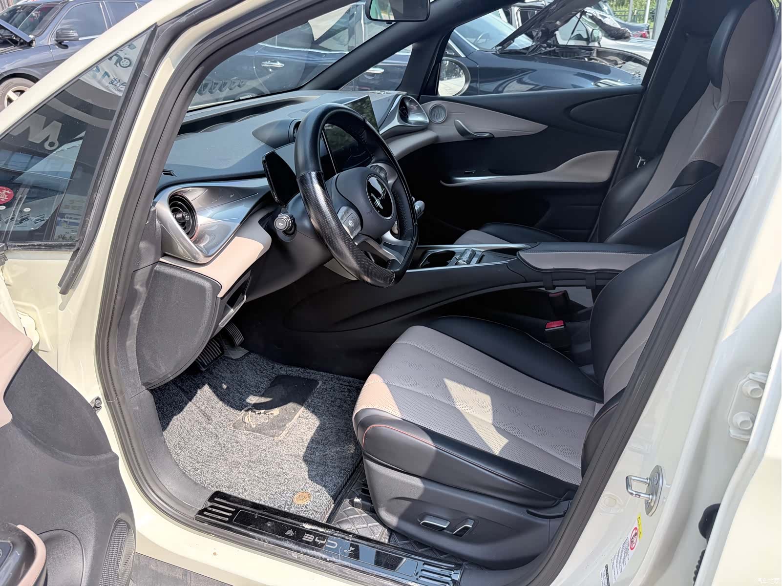 BYD Dolphin, 2023 4