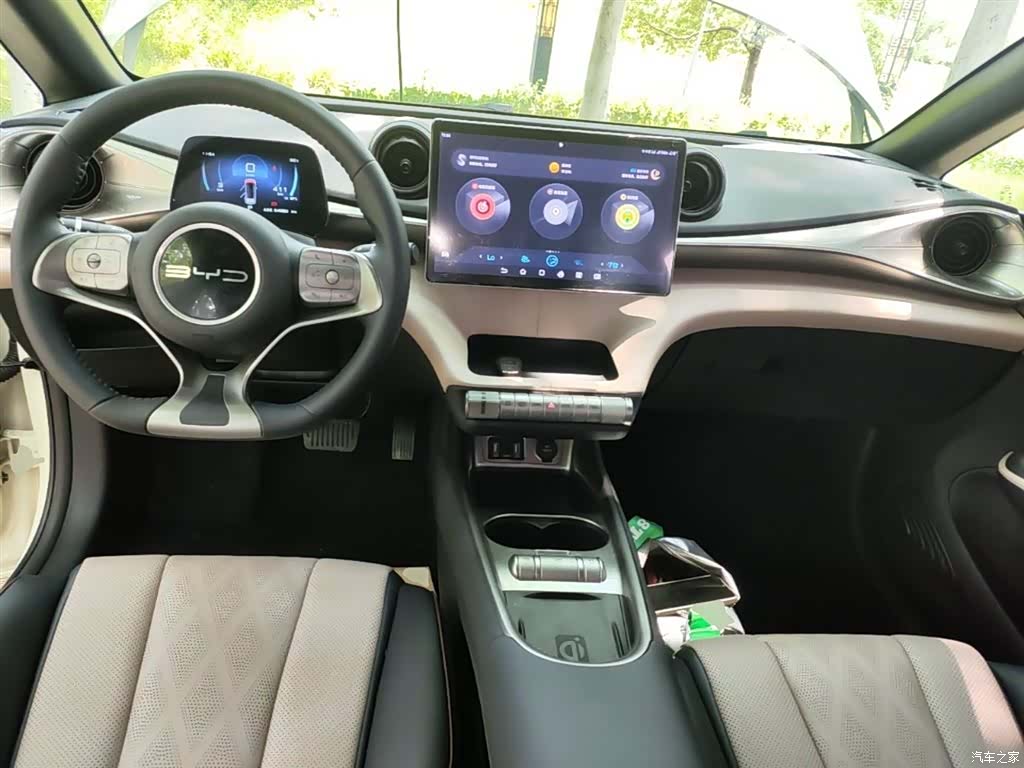 BYD Dolphin, 2023 10