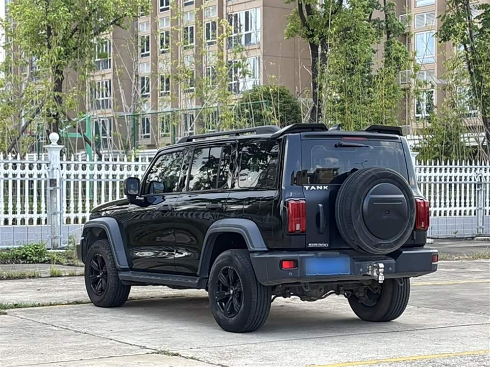 Tank 300