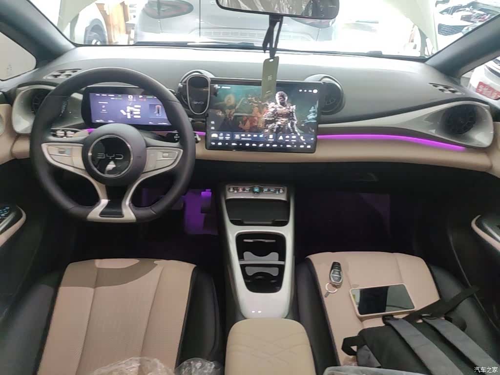BYD Dolphin, 2026 10