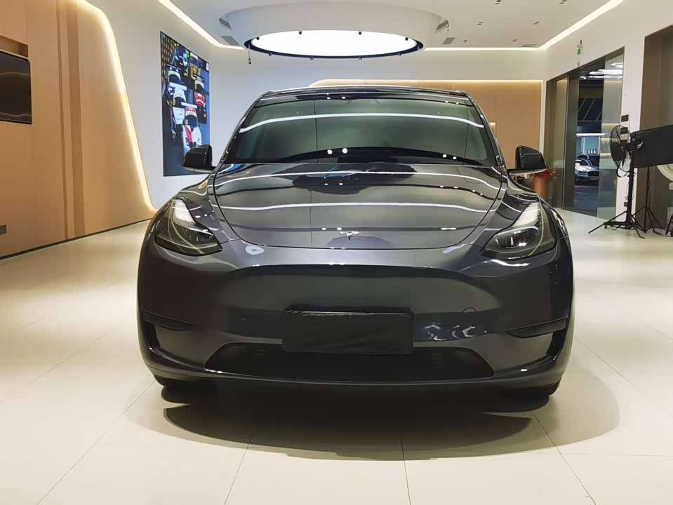 Tesla Model Y Tesla Model Y
