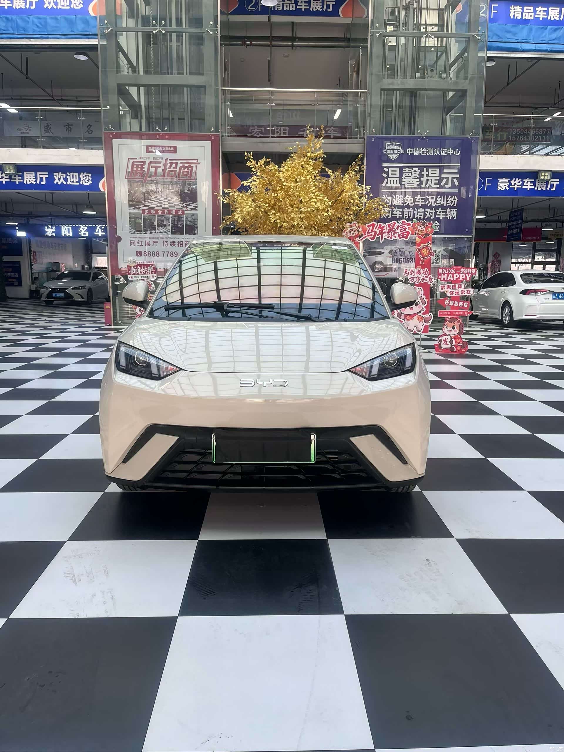 BYD Seagull, 2025 2