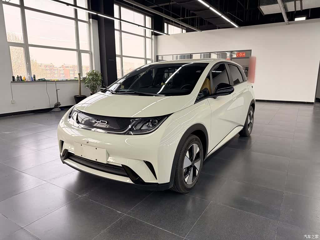 BYD Dolphin, 2023 1