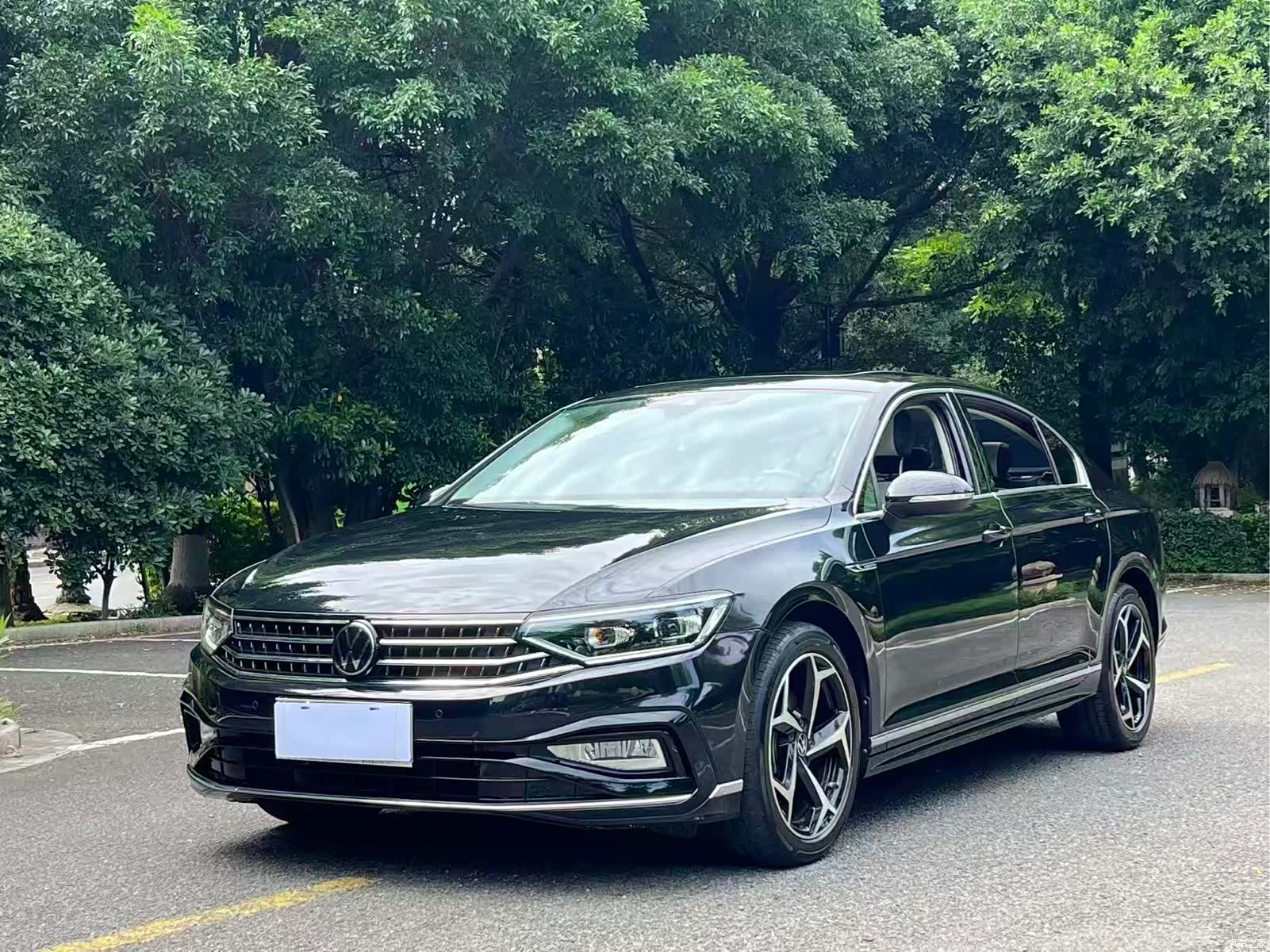 Volkswagen Magotan, 2024 1