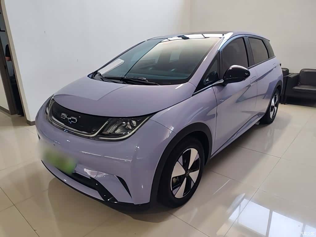 BYD Dolphin, 2023 1