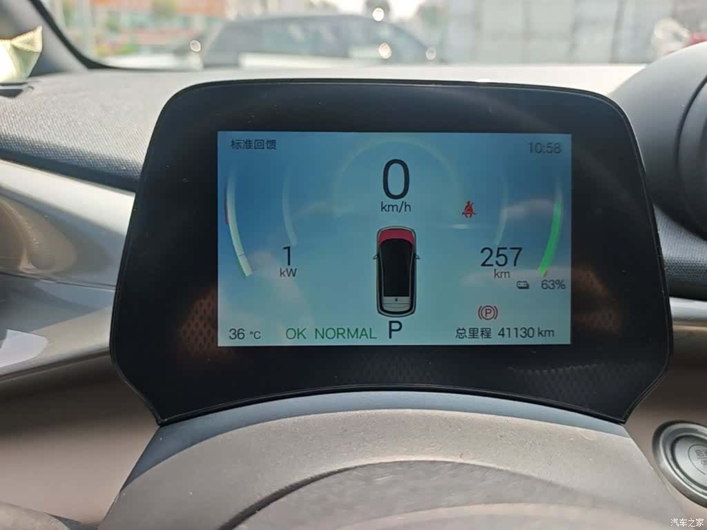 BYD Dolphin, 2024 12