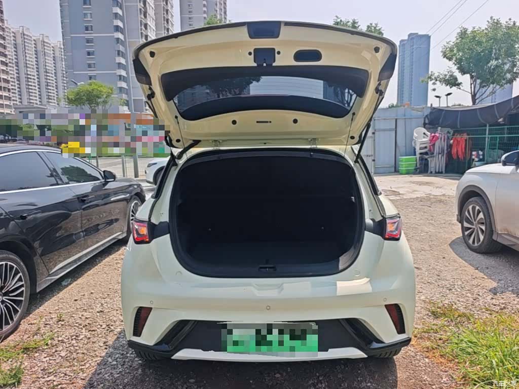BYD Dolphin, 2024 19
