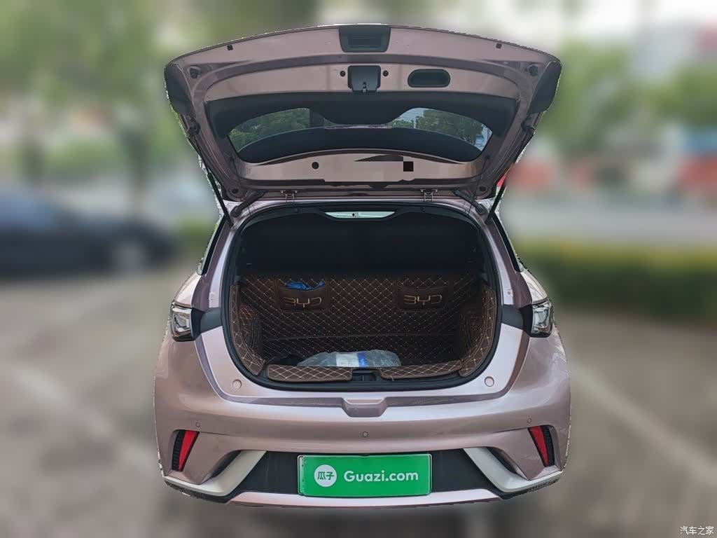 BYD Dolphin, 2023 10