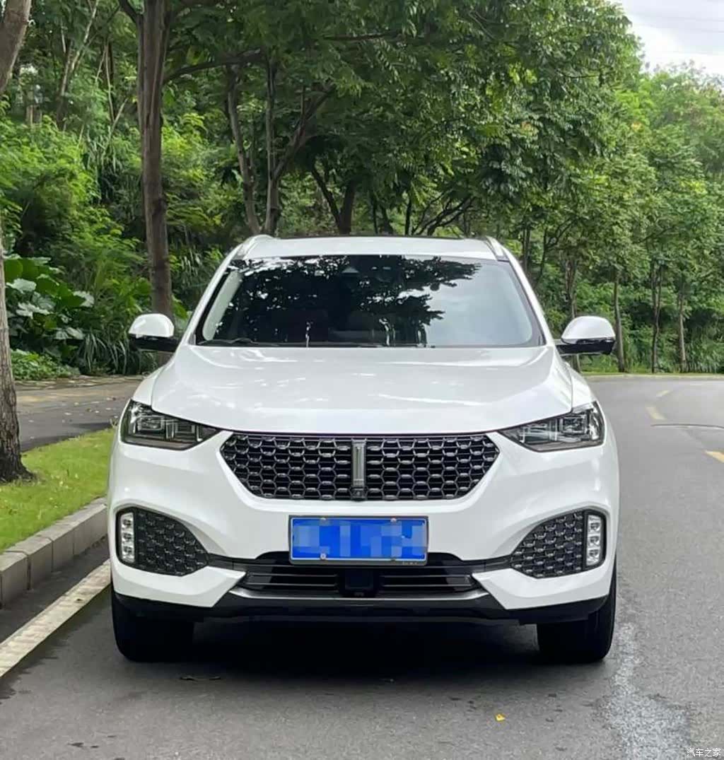 WEY VV6, 2019 2