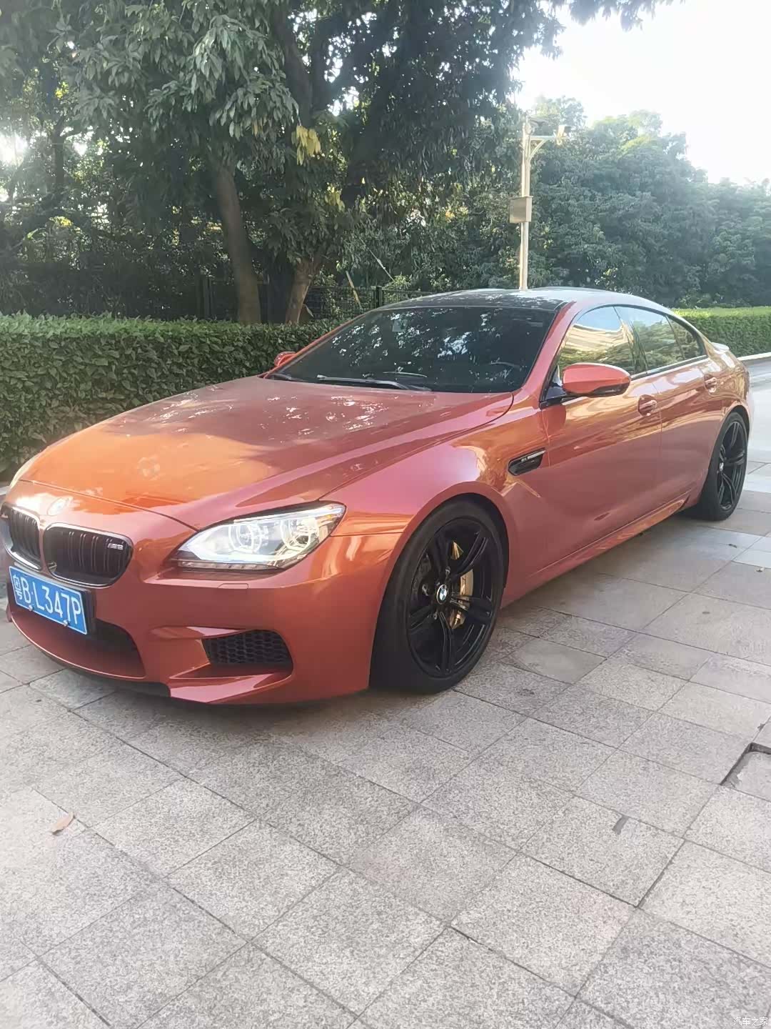 BMW M6, 2016 4