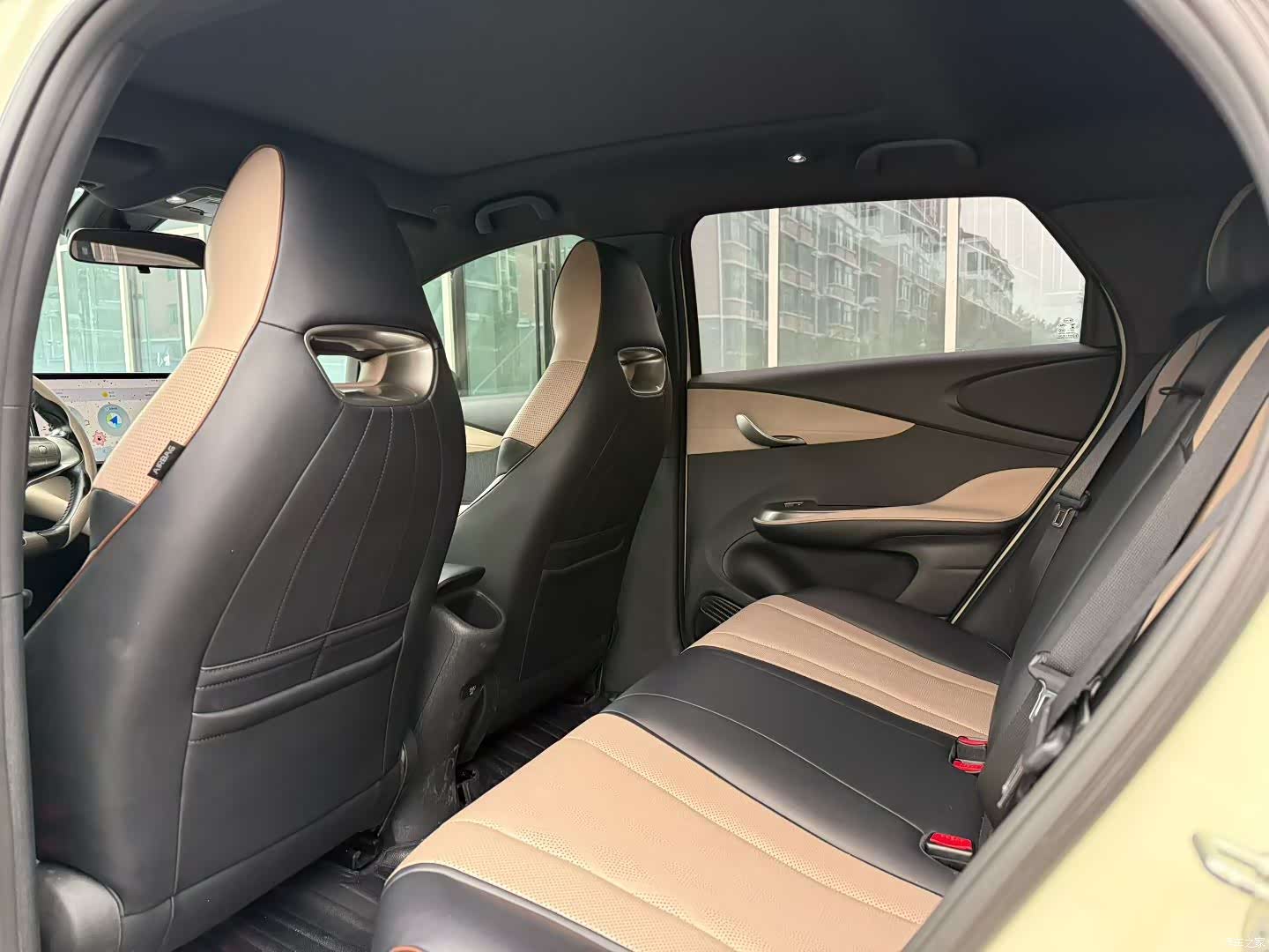BYD Dolphin, 2023 все фото