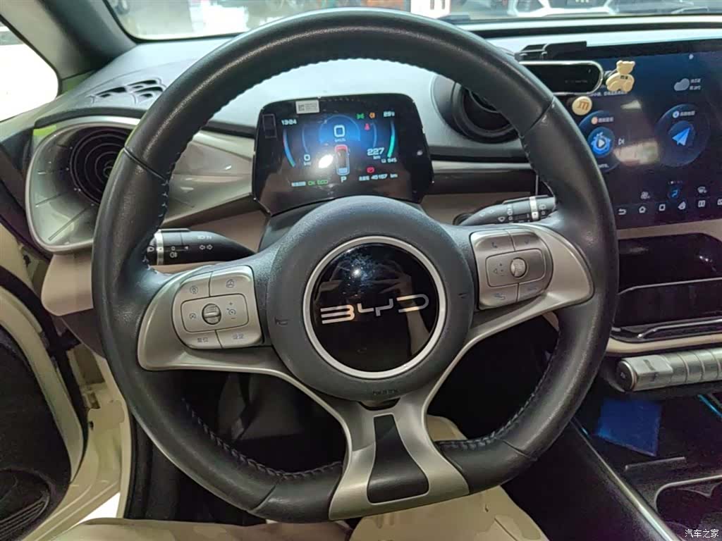 BYD Dolphin, 2023 11