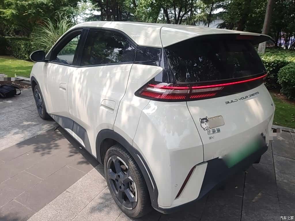 BYD Seagull, 2024 все фото