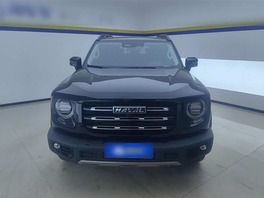 Haval Big dog