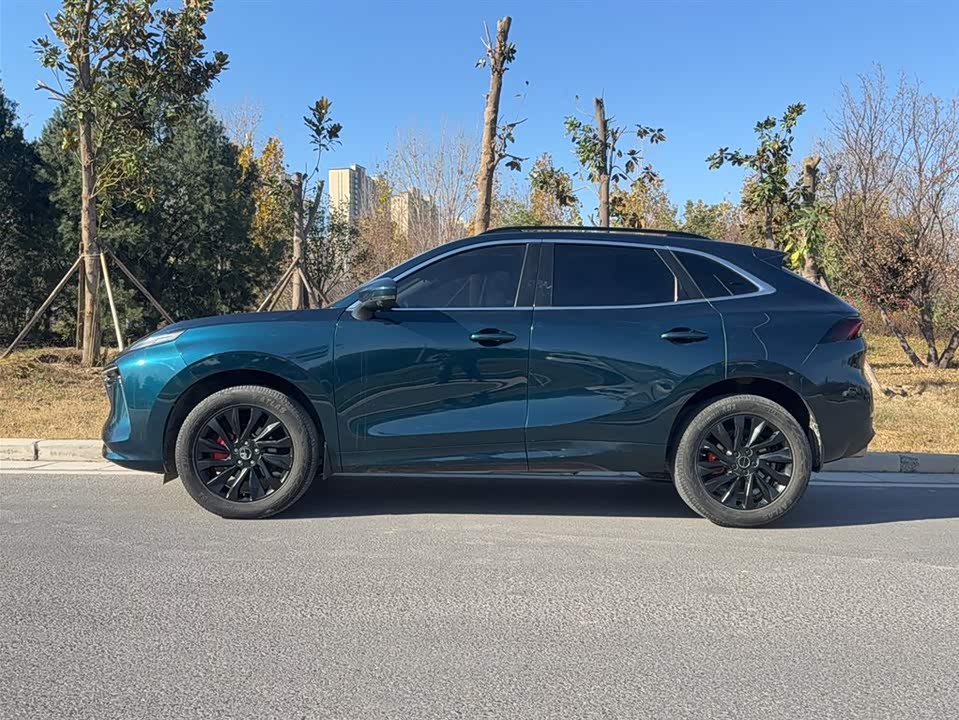 Forthing Popular T5 EVO