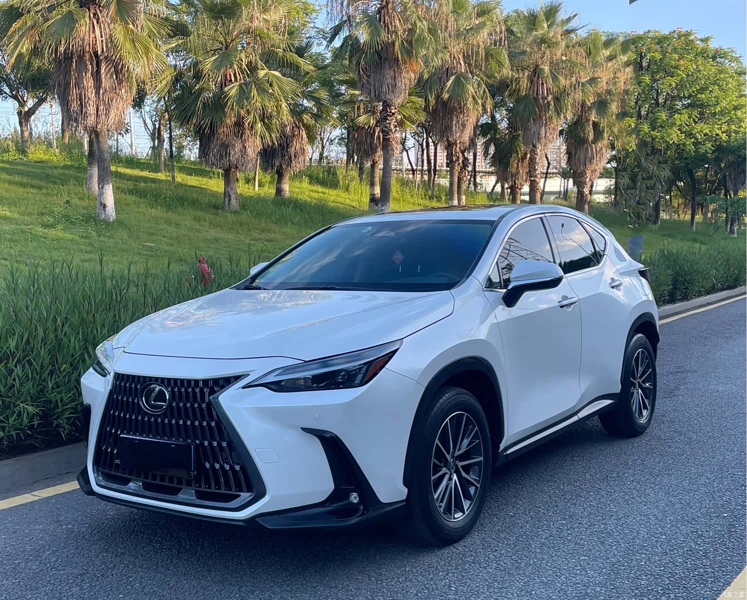 Lexus NX, 2022 1